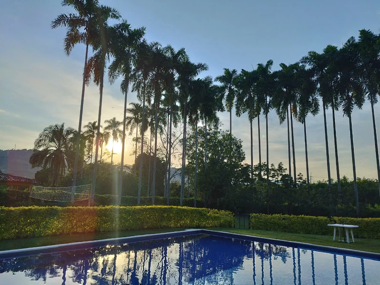 Atardecer sobre la piscina, con las palmeras reflejadas en el agua