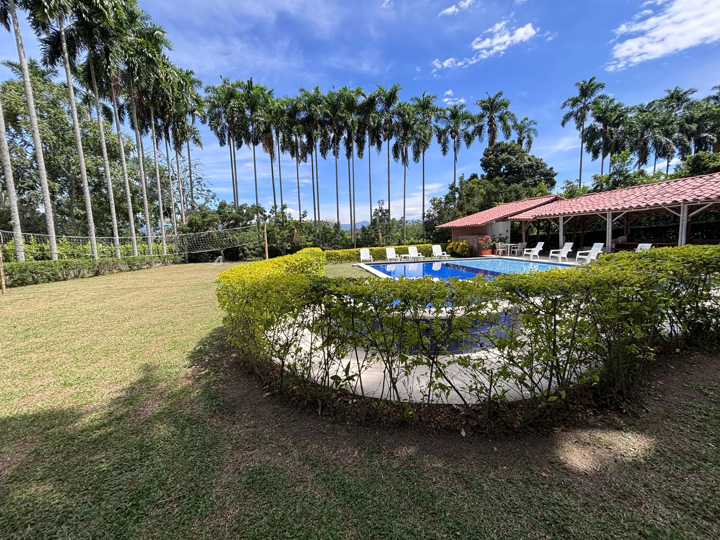 Piscina de El Refugio con tumbonas rodeada de palmeras