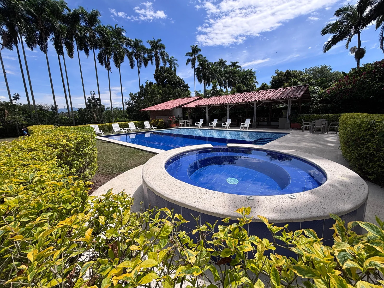 Jacuzzi y piscina entre jardines