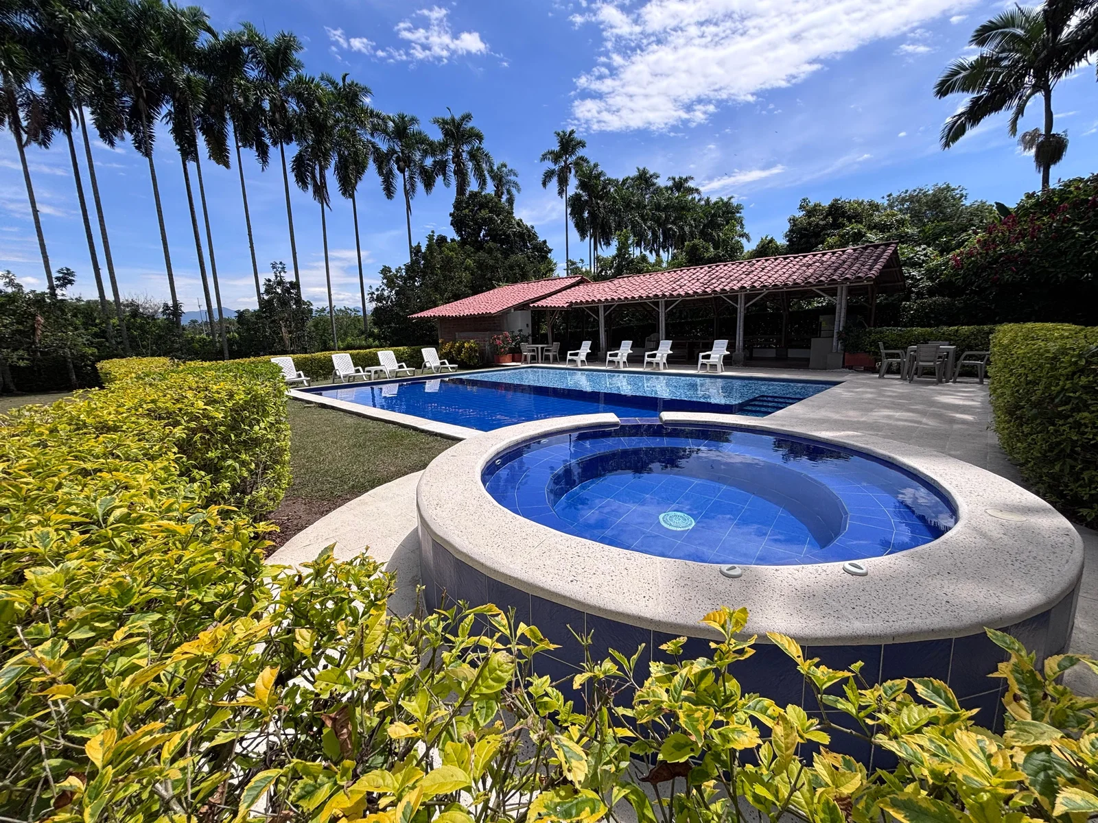 Jacuzzi para doce rodeado de palmeras
