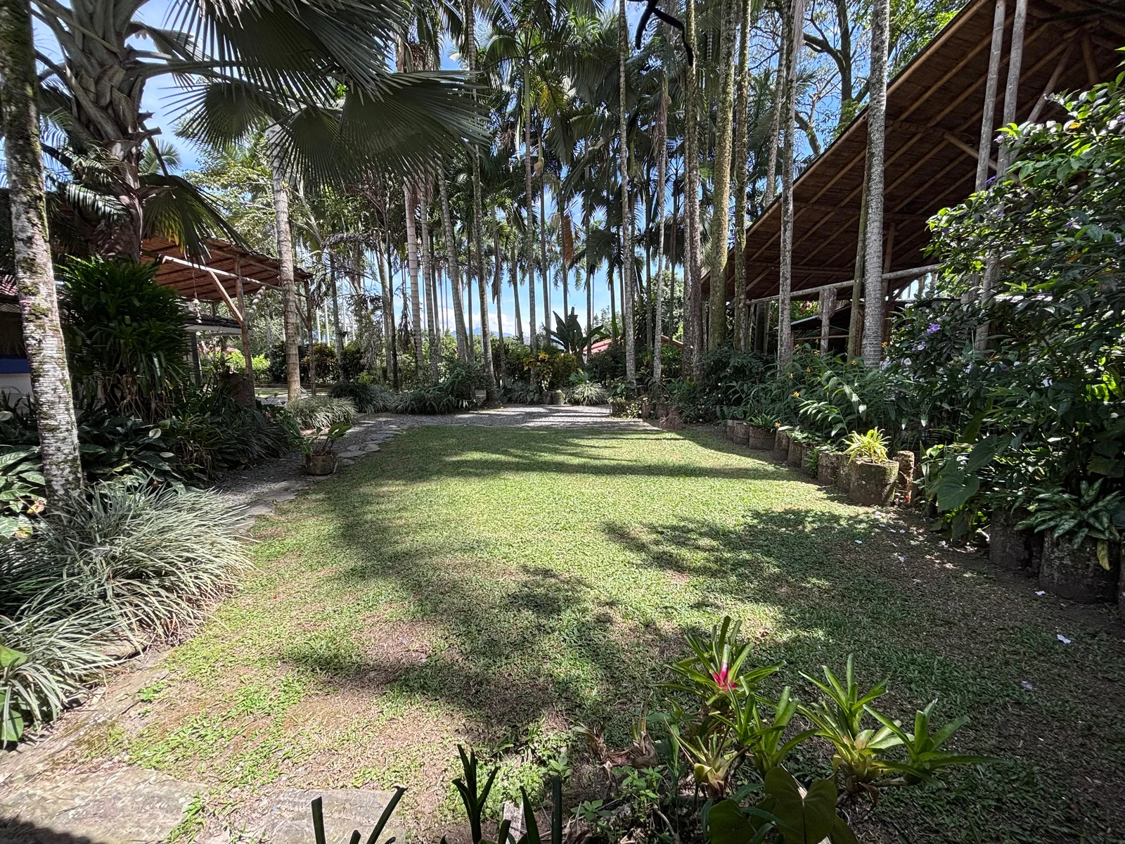 Jardín y palmeras reales de El Refugio
