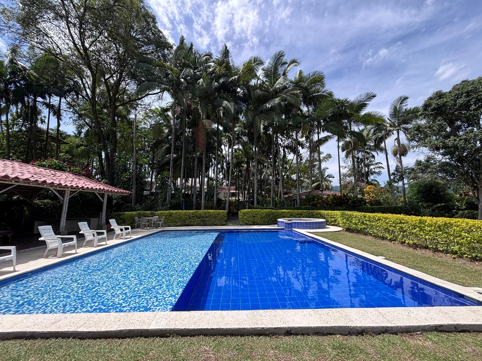 Piscina de El Refugio entre palmeras